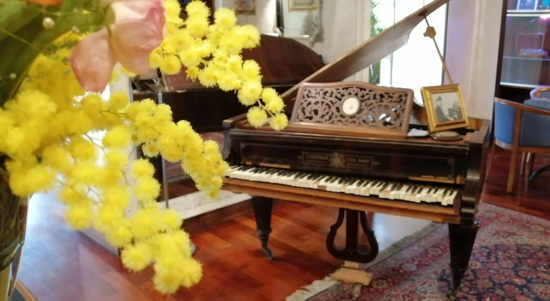 Hotel Morandi Sanremo