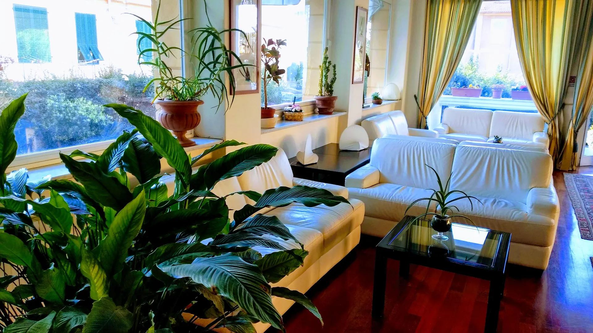 Hotel Morandi Sanremo